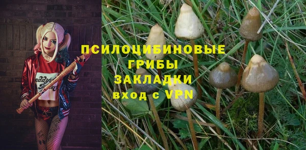 бошки Волоколамск