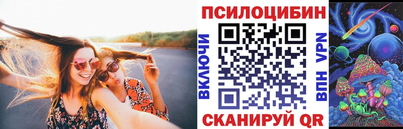 где можно купить наркотик  Северобайкальск  kraken ONION  Галлюциногенные грибы Psilocybine cubensis 