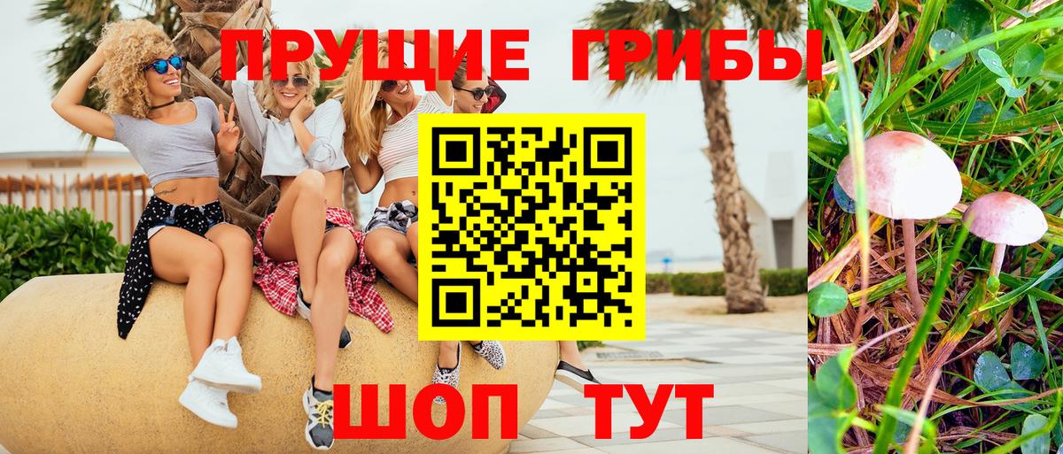 Галлюциногенные грибы GOLDEN TEACHER  Вход с VPN  Северобайкальск  Псилоцибиновые грибы прущие грибы 
